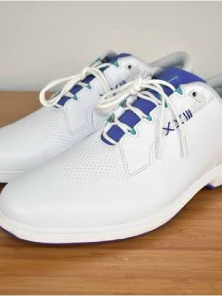 New Jordan Adg 5 White Grape Ice Fq7874-100 Golf No Box
